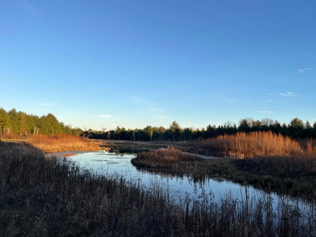 33 Acres 10th Avenue, Adams, WI 53910 - Image #1