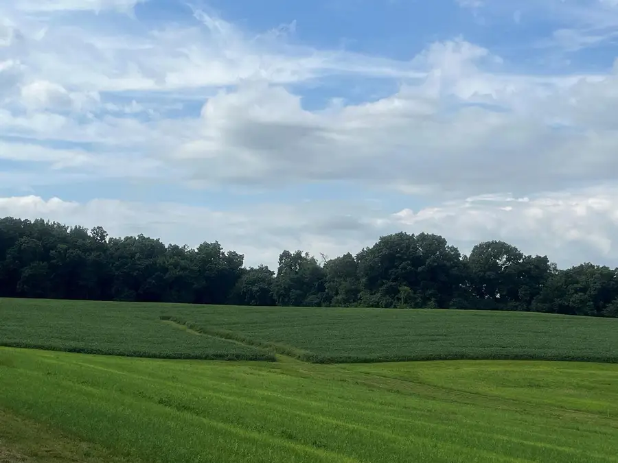 21.99 Observatory Road, Cross Plains, WI 53528 - Image #3
