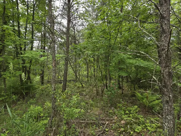 10 Acres 25th Street, Necedah, WI 54646