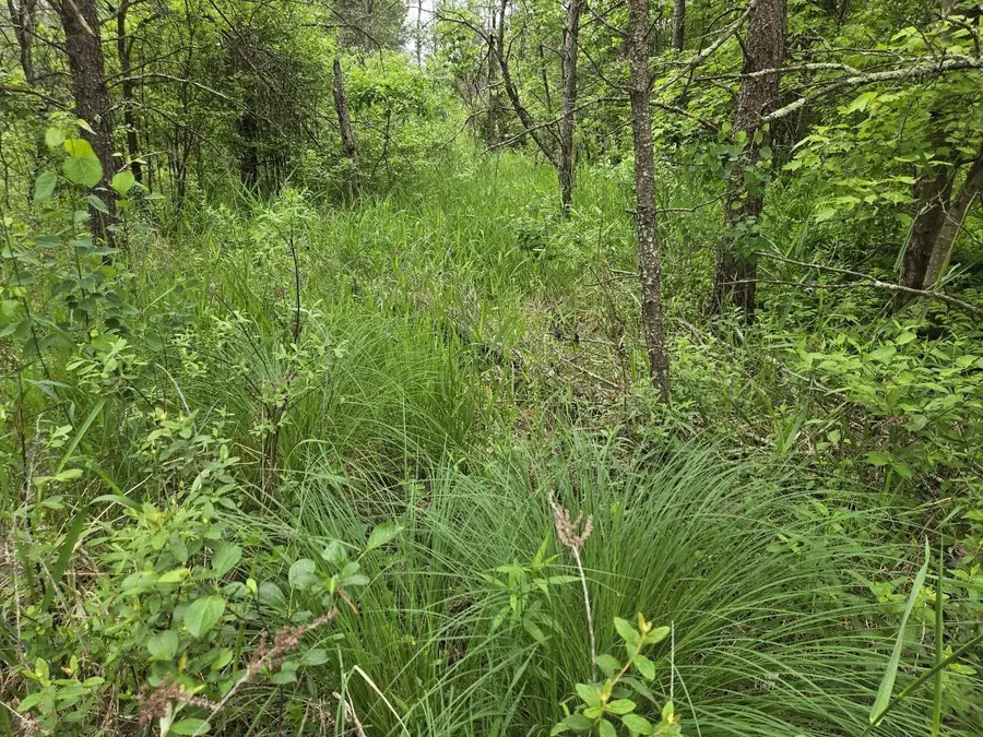 10 Acres 25th Street, Necedah, WI 54646 - Image #2