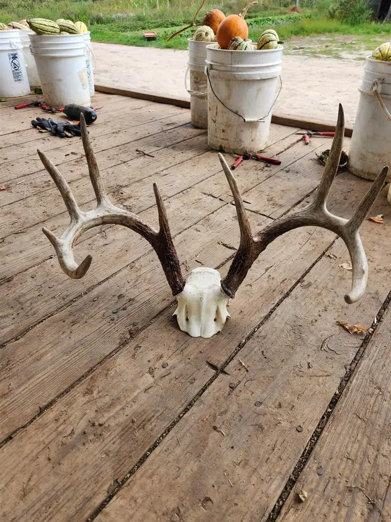 18 Ac Healy Road, Cambria, WI 53923 - Image #2