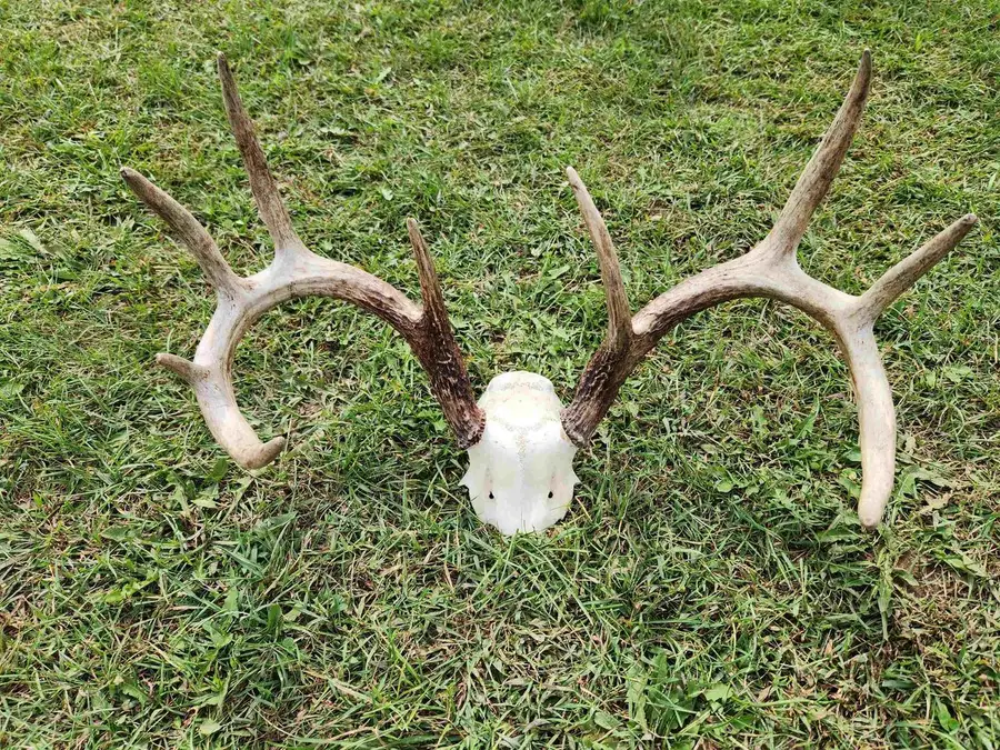 18 Ac Healy Road, Cambria, WI 53923 - Image #3