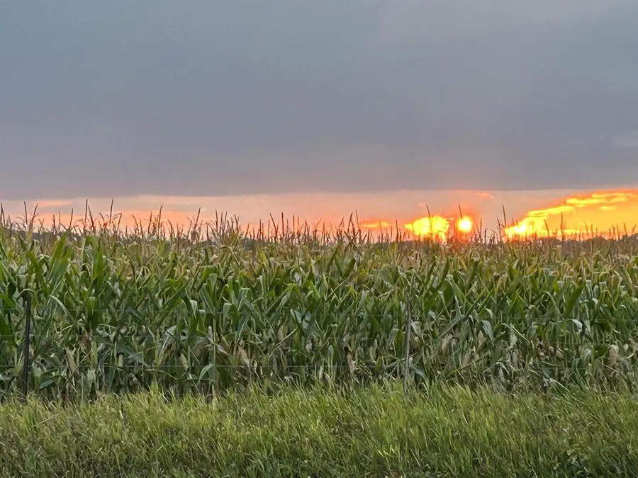 4012 County Road G, Wisconsin Dells, WI 53965 - Image #2