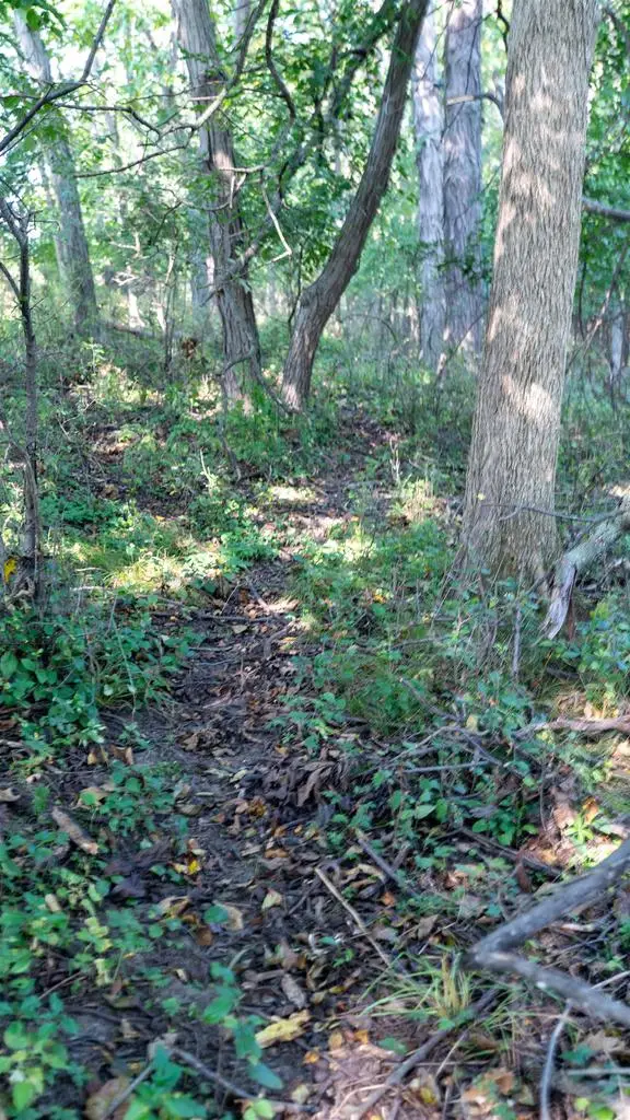 40 AC County Road H, Cambria, WI 53923 - Image #2