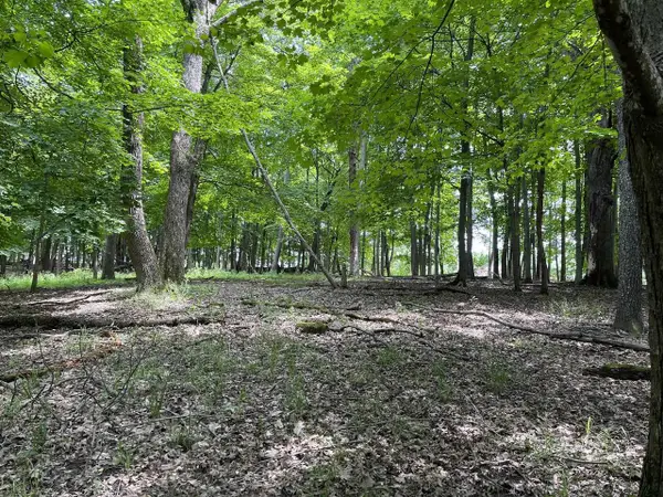 Lt 148 Pine Cone Lane, La Valle, WI 53941