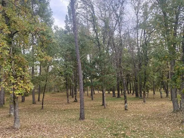 #2