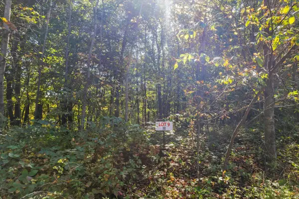 802 Dutch Hollow Drive, Woodland, WI 53941