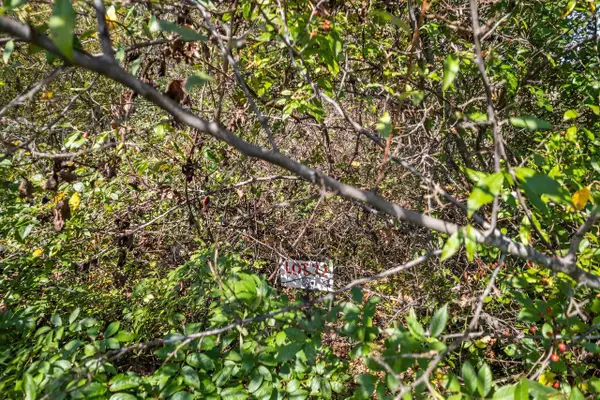 1518 Staghorn Court, Woodland, WI 53941