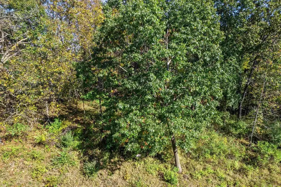 1375 W Dutch Hollow Road, La Valle, WI 53941 - Image #2