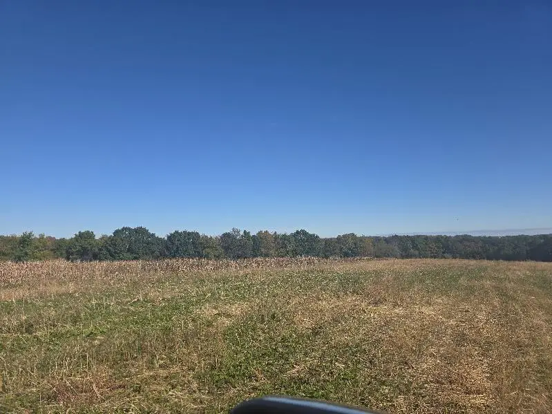 Mimosa Road, Wilton, WI 54670 - Image #2