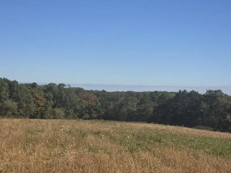 Mimosa Road, Wilton, WI 54670 - Image #3