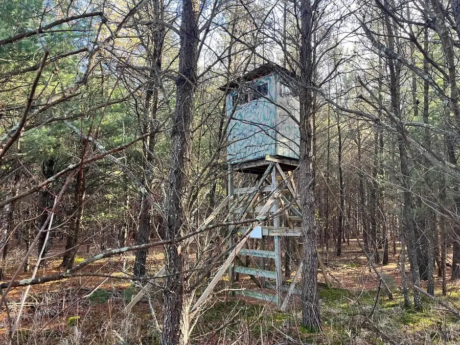 1035 Beaver Avenue, Nekoosa, WI 54457 - Image #3