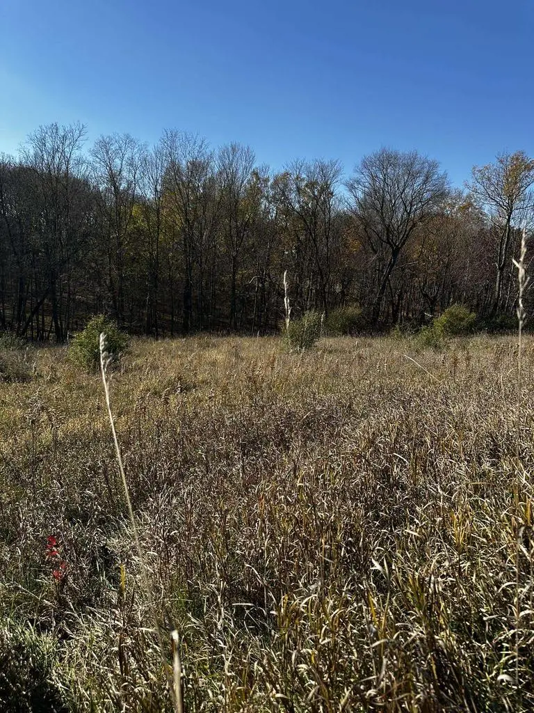 Lots 784 & 785 Sunset Court, La Valle, WI 53941 - Image #3