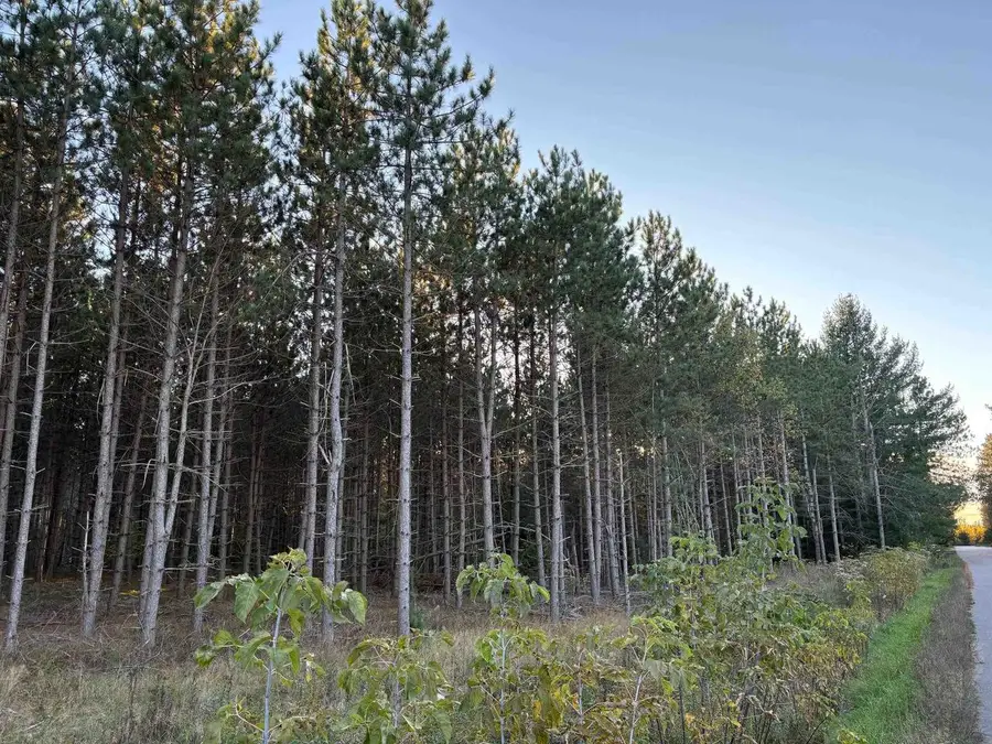 Lot 2 Plantation Road, Pelican Lake, WI 54463 - #3