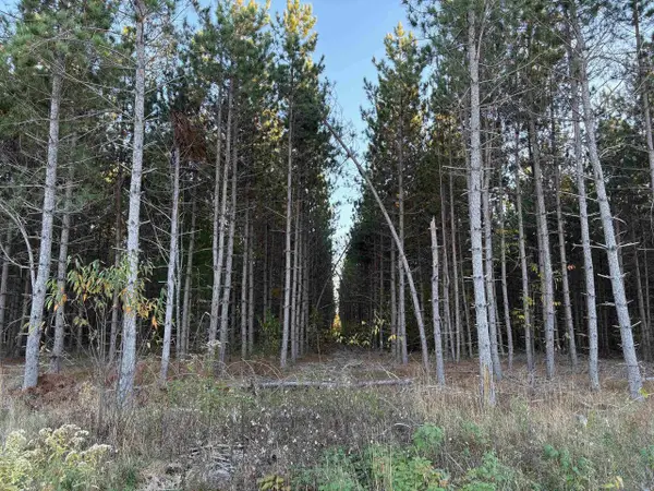 Lot 3 Plantation Road, Pelican Lake, WI 54463