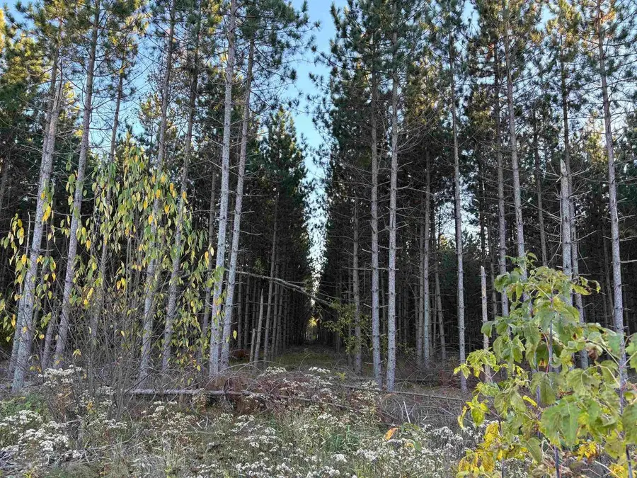 Lot 3 Plantation Road, Pelican Lake, WI 54463 - #3