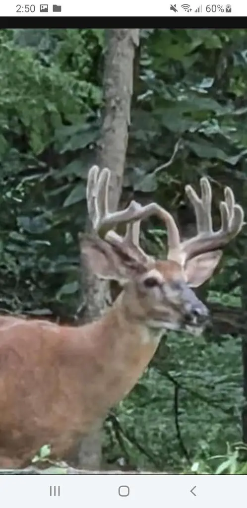 N8720 County Cx Road, Portage, WI 53901 - Image #2