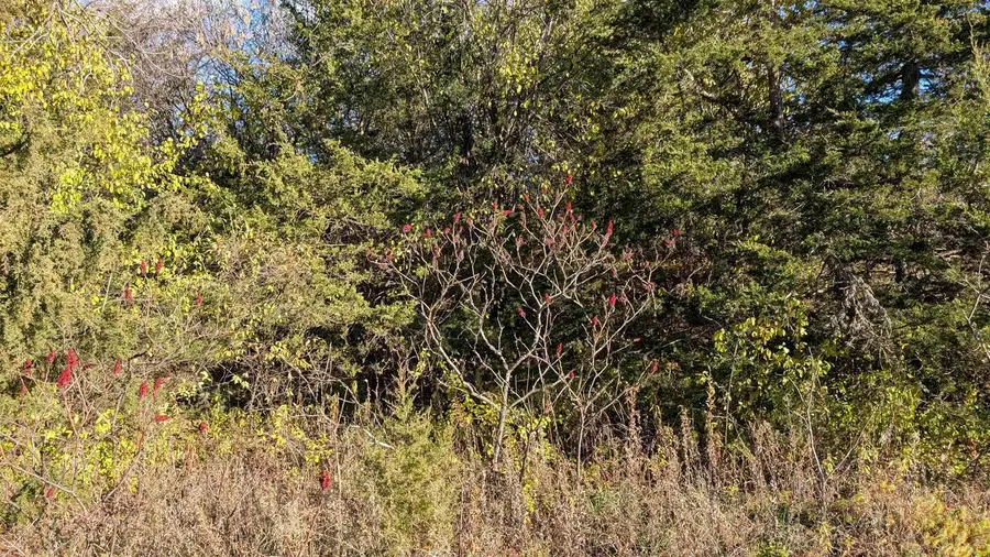 L14 Oak Road, Markesan, WI 53946 - Image #3