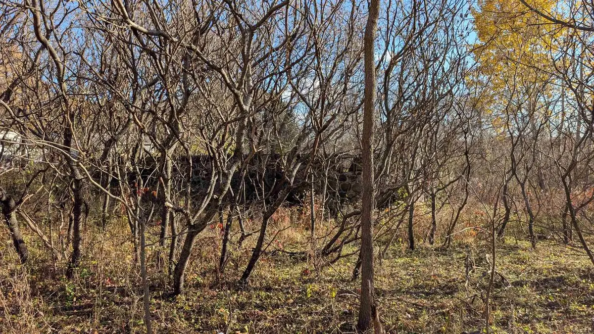 L17 Oak Road, Markesan, WI 53946 - Image #1