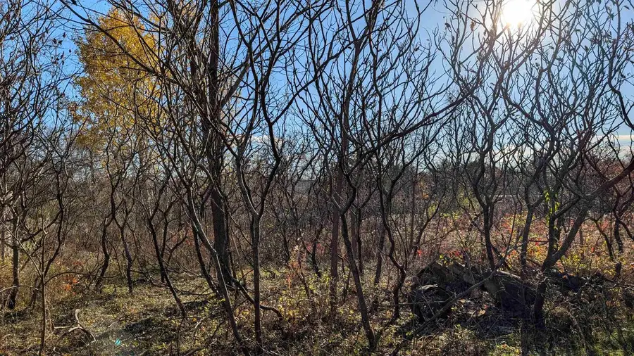 L17 Oak Road, Markesan, WI 53946 - Image #2