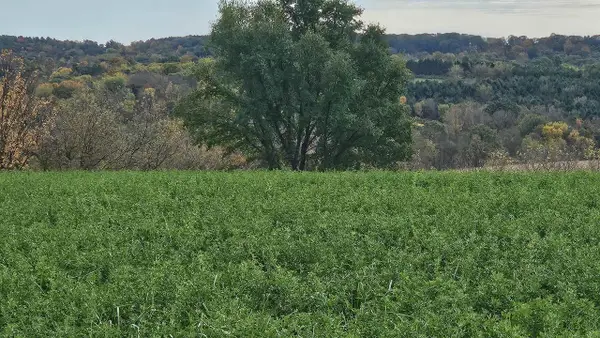 5 acres La Valle Road, La Valle, WI 53941