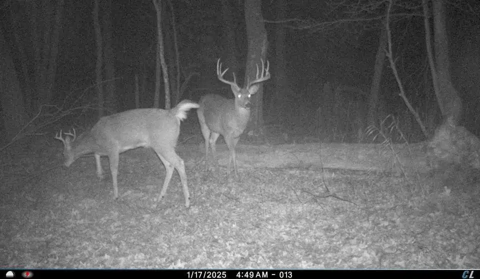 N8510 Fish Road, New Lisbon, WI 53950 - Image #1