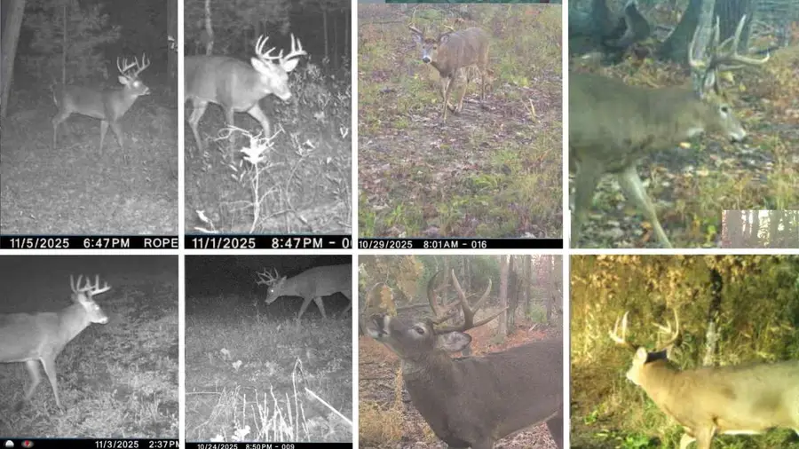 N8510 Fish Road, New Lisbon, WI 53950 - Image #2