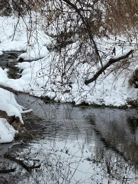 20497 Hady Lane, Gays Mills, WI 54631 - Image #2