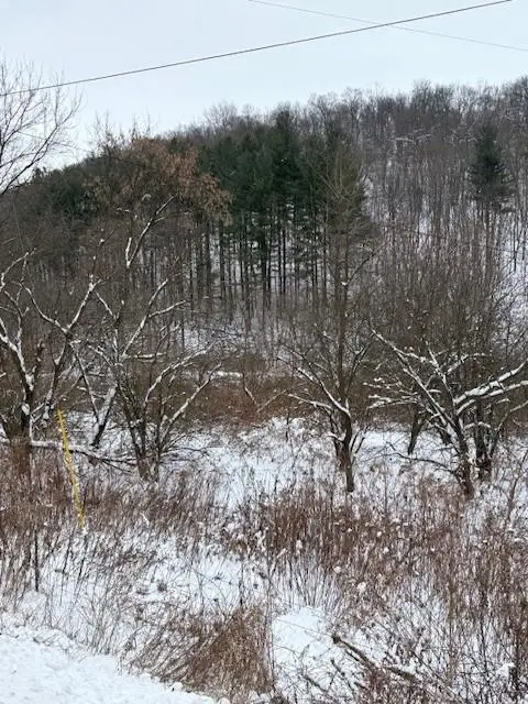 20497 Hady Lane, Gays Mills, WI 54631 - Image #3