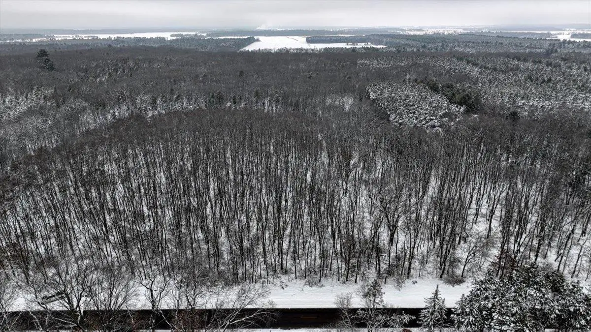 Lots 12 & 13 County Road A, Grand Marsh, WI 53936 - Image #1