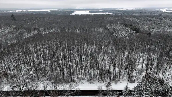 Lots 12 & 13 County Road A, Grand Marsh, WI 53936