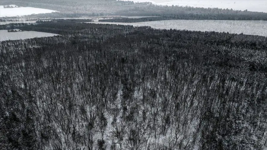 Lots 12 & 13 County Road A, Grand Marsh, WI 53936 - Image #2