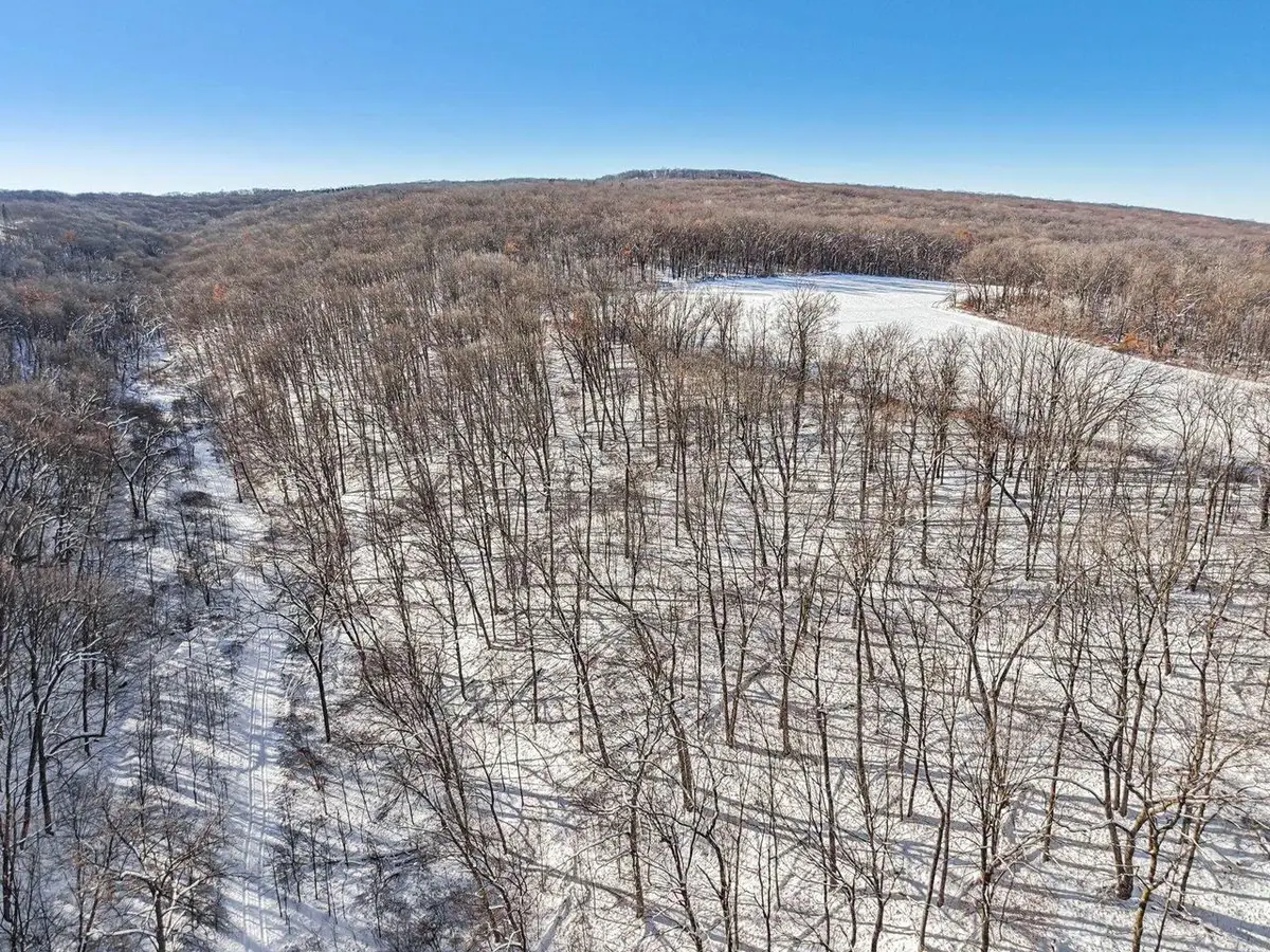 81 Acres Ryan Road, Blue Mounds, WI 53517 - Image #1