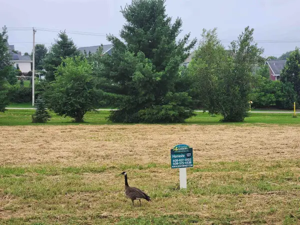 L129 Lucas Lane, Sun Prairie, WI 53590