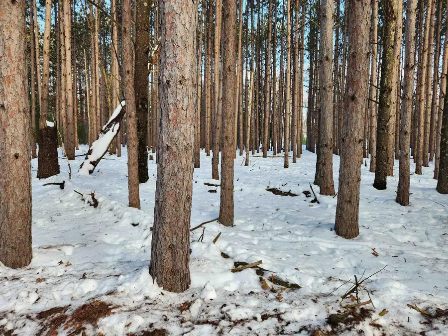 Lot 2 Meiller Road, Montello, WI 53949 - Image #2