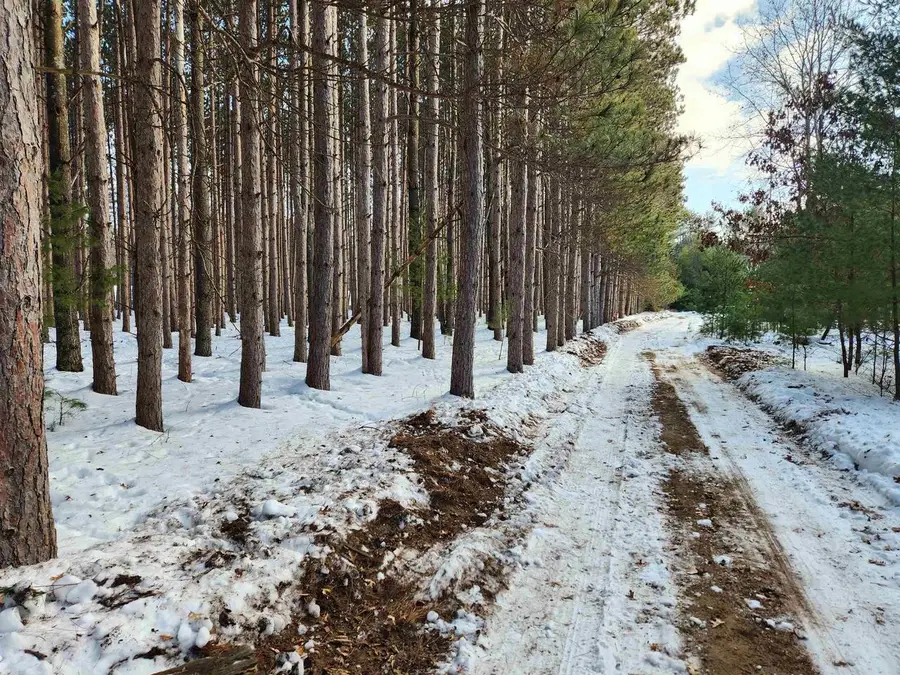 Lot 2 Meiller Road, Montello, WI 53949 - Image #3