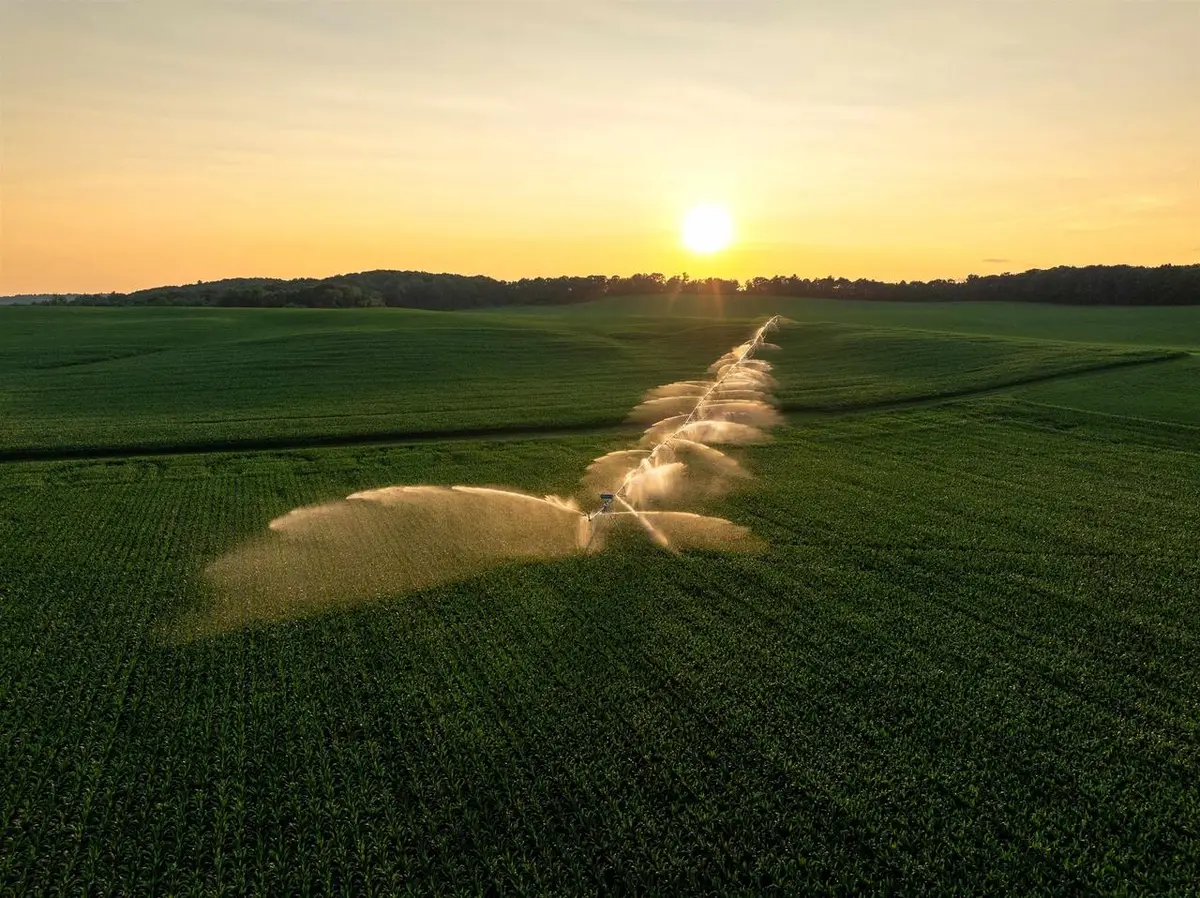 1,120.44 Acres Land Auction, Iola, WI 54945 - Image #1