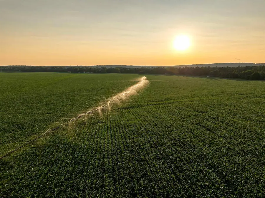 1,120.44 Acres Land Auction, Iola, WI 54945 - Image #3