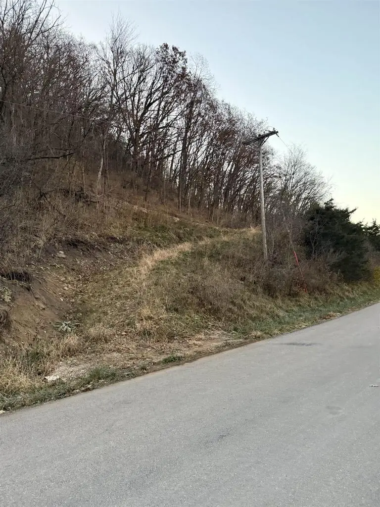 19 acres Old Hwy 61, Boscobel, WI 53805 - Image #2