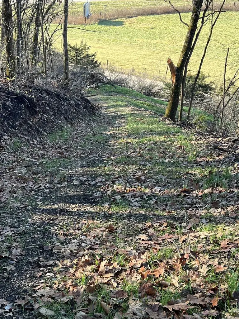 19 acres Old Hwy 61, Boscobel, WI 53805 - Image #3