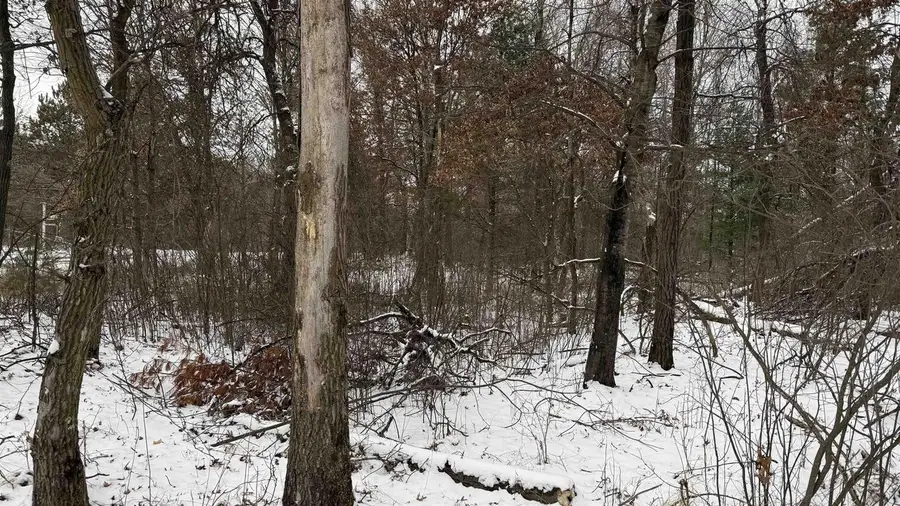 1.50 Acres Retirement Lane, Necedah, WI 54646 - Image #2