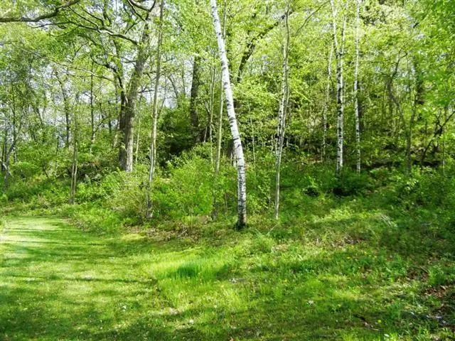 Lot 2 Woodland Rd, Viroqua, WI 54665 - Image #2