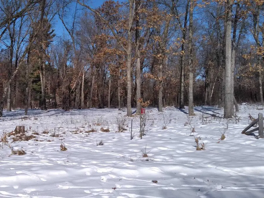 341 Timber Trail, Nekoosa, WI 54457 - Image #2