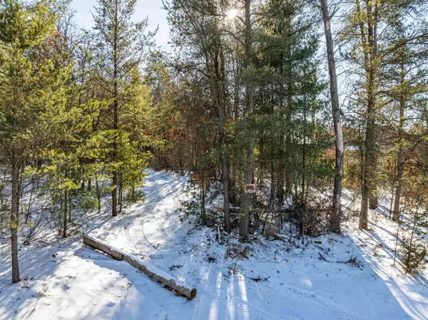 78.75 Acres County Road K, Wisconsin Dells, WI 53965