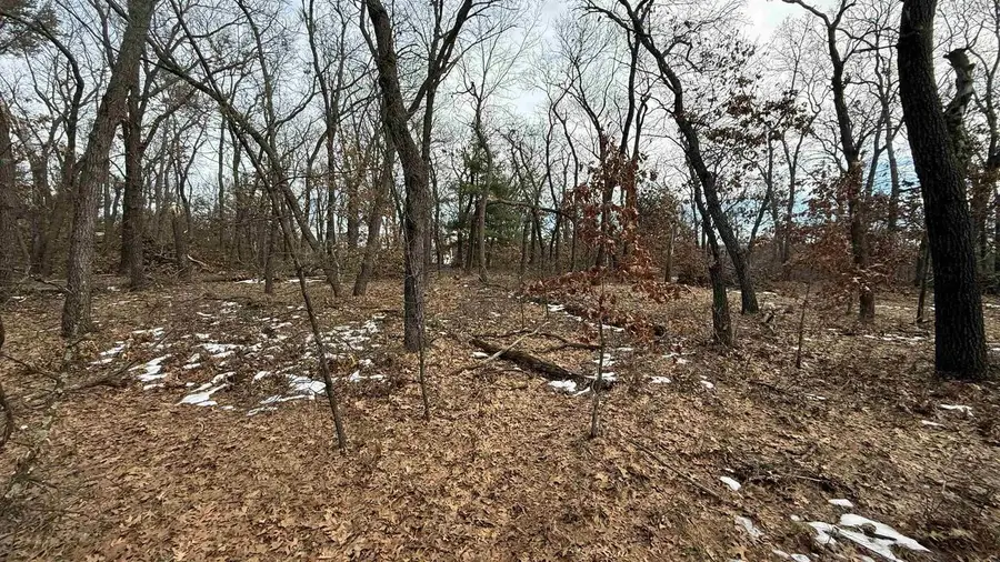 Horkan Rd Road, New Lisbon, WI 53950 - #2