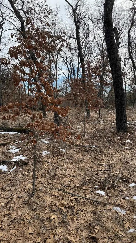 Horkan Rd Road, New Lisbon, WI 53950 - #3