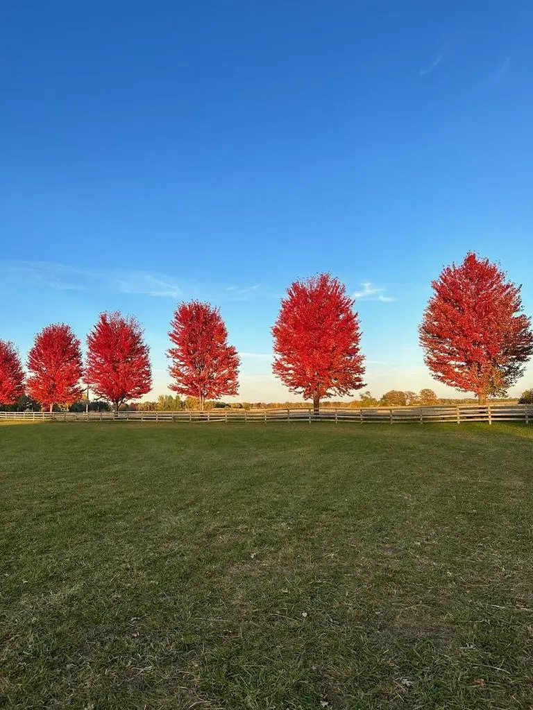 Lot 2 Bailey Road, Sun Prairie, WI 53590 - #3