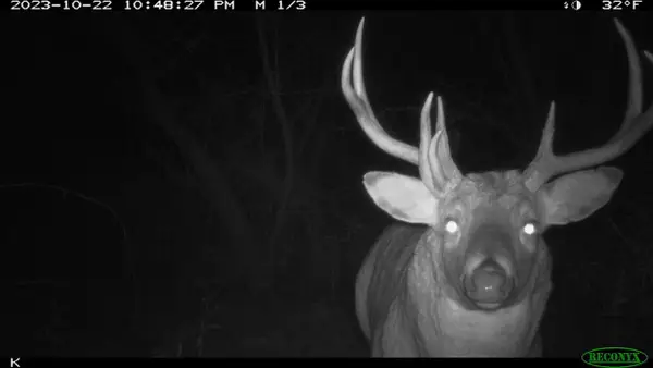 00 Wheat Hollow Road, Cazenovia, WI 53924