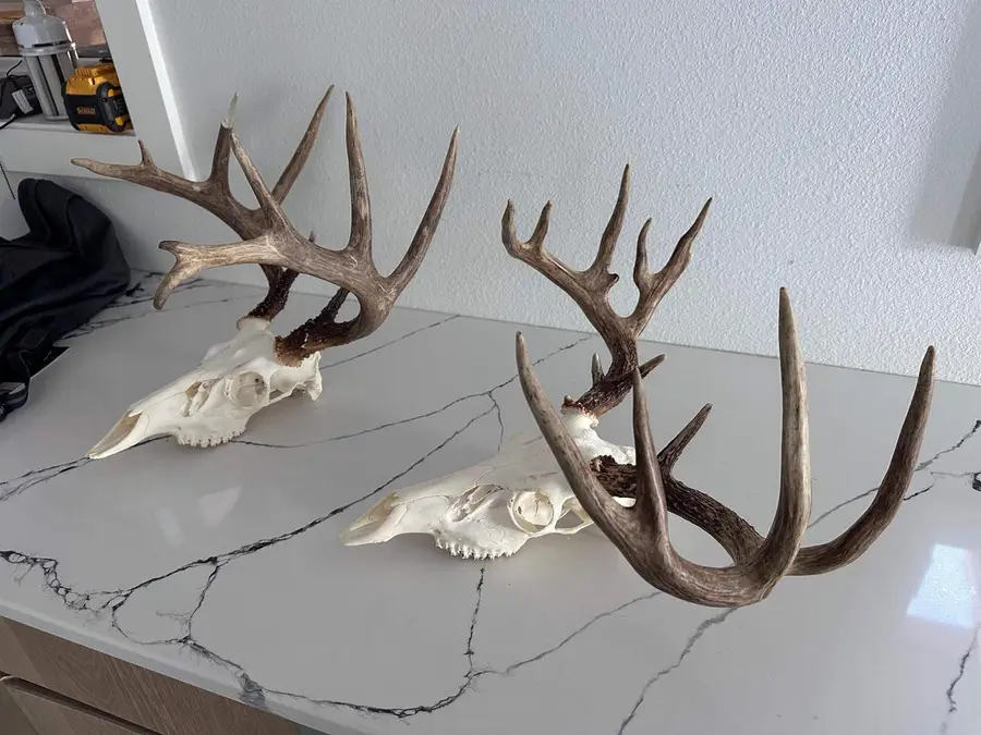 00 Wheat Hollow Road, Cazenovia, WI 53924 - #2