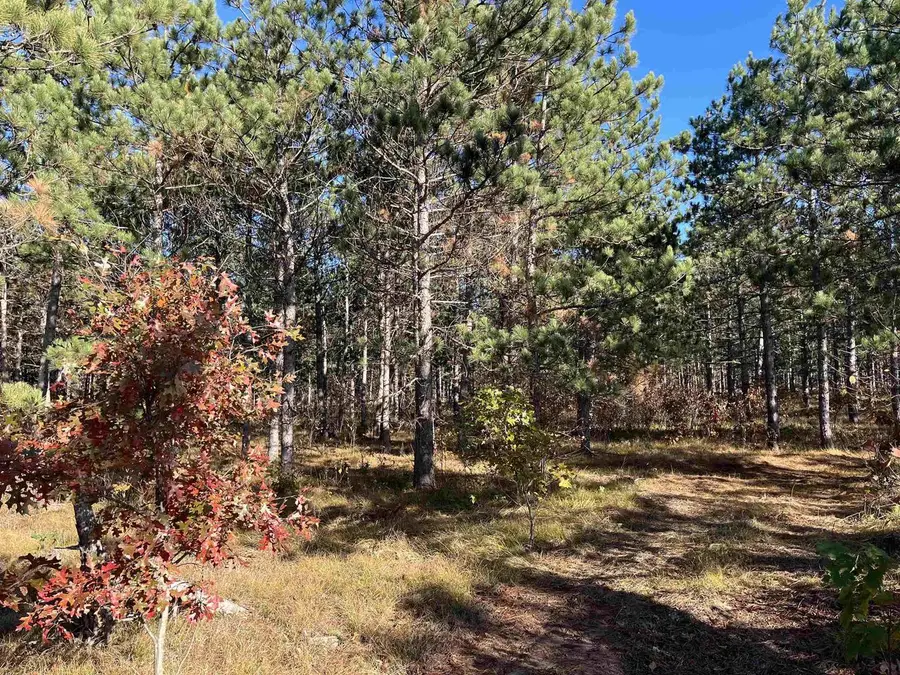 Lot 4 Luna Lane, Nekoosa, WI 54457 - #2